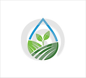 sprout leaf inside an abstract water drop shape vector icon logo design for agriculture, food crop, hydroponic nursery and farm photo