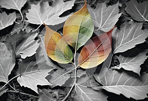 Sprout of a plant grows on fall leaves