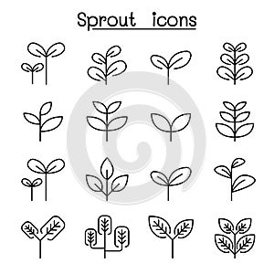 Sprout, plant, treetop, leaf icon set in thin line style photo