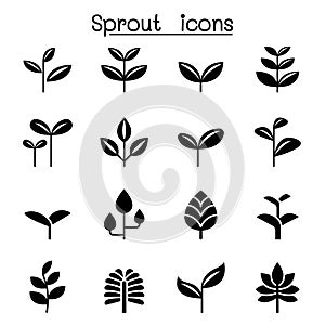 Sprout, plant, treetop, leaf icon set vector illustration graphic design photo