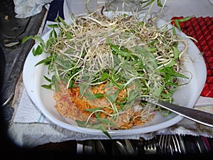 Sprout and rice on plate