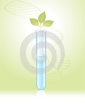 Sprout in a test tube on a green background