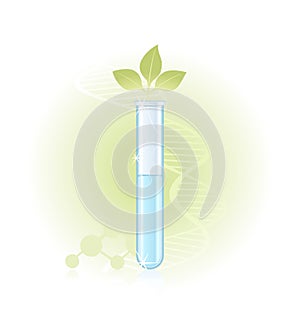 Sprout in a test tube on a green background
