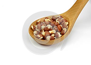 Sprouted azuki beans in a wooden spoon isolated