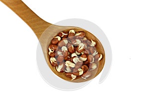 Sprouted azuki beans in a wooden spoon isolated