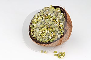 Sprouted Green gram photo