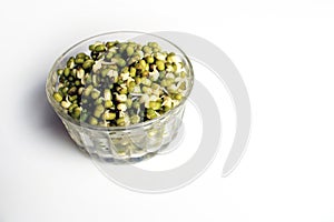 Sprouted green gram isolated with white background.