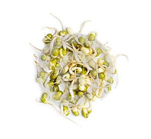 Sprouted green mung beans. Mung sprouts