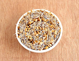 Sprouted Horse Gram photo