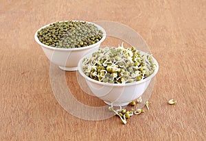 Healthy Vegetarian Food Sprouted Moong or Mung in a Bowl photo