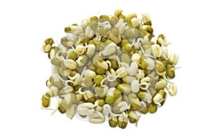 Sprouted mung beans