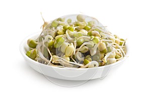 Sprouted mung beans in bowl