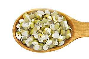 Sprouted mung beans - fresh and healthy