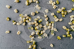 Sprouted mung beans isolated on grey textured background. Green soybeans sprouts. Healthy and wellness diet concept. Organic gram