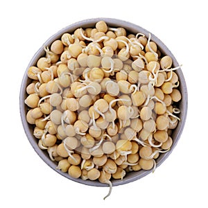 Sprouted peas in a cup isolated on white background