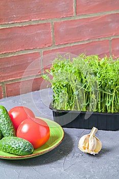 Sprouted peas in the kitchen. Fresh salad, cucumbers, tomatoes. The concept of healthy eating. Brick wall background