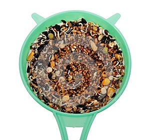 Sprouted seeds in a strainer