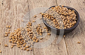 Sprouted wheat germ