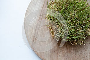 Sprouted wheat, green sprouts. Wooden plank. White background. Healthy food