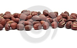 Sprouting azuki bean