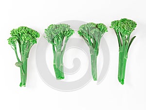 Sprouting broccoli