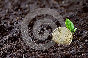 Sprouting plant from coin planted in ground, saving money and investment concept