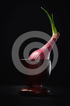 Sprouting Red Onion Inside Wooden Container Still Life