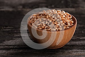 Sprouting Seeds in a Wooden bowl