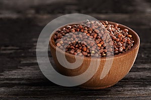 Sprouting Seeds in a Wooden bowl