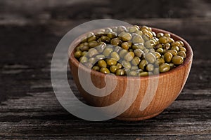 Sprouting Seeds in a Wooden bowl