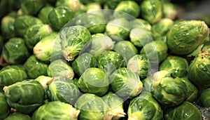 Sprouts