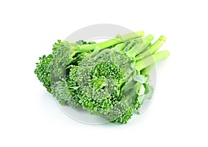 Sprouts baby broccoli cabbage isolated on White Background