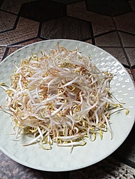 These sprouts or bean sprouts are the first growth before becoming green beans