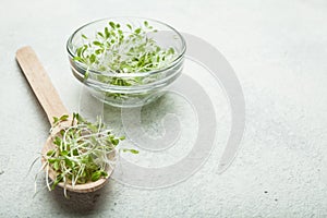 Sprouts of a micro-seated salad on a white background. Diet for weight loss, a stimulant of immunity. Space for text