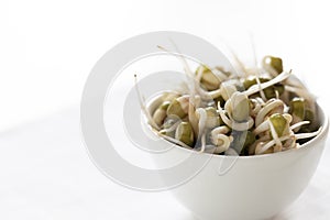 Sprouts: Mung Bean