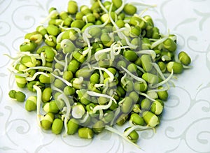 Sprouts- mung beans/green gram photo