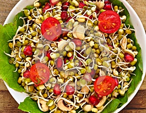 Sprouts- mung beans/green gram photo