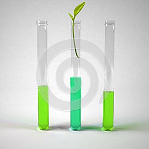 Sprouts in test tubes