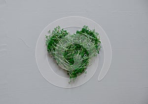 Sprouts of watercress salad micro greens in the shape of a heart on a white background.