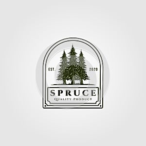 Spruce badge vector illustration design, vintage pine tree logo design