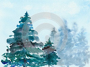 Spruce Christmas trees in the forest, watercolor, illustration.