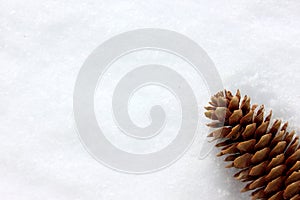 Spruce cone, isolated on a white background. A bump in the snow. Top view. Spruce cone. Picea abies. Copy space. Winter