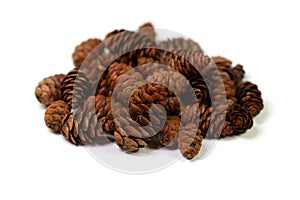 Spruce cones against a white background