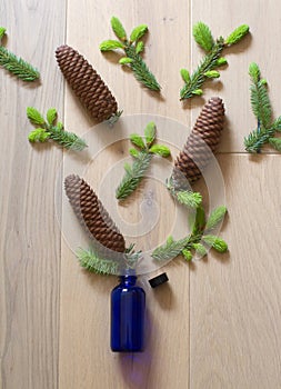 spruce exploding from or concentrating in essential oil bottle