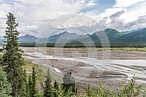 A Spruce Forest Gives Way to a Gravel Flat in Alaska`s Denali National Park