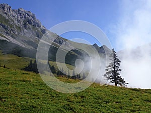 A spruce grows on the stony slope of the mountain. Hiking routes. Beautiful mountain landscape with blue sky