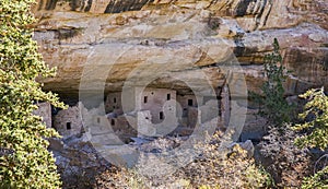 Spruce House cliff dwelling, Mesa Verde National Park photo