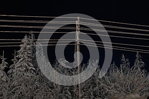 Spruce, pine trees and power lines covered with snow in the dark. Night winter view.