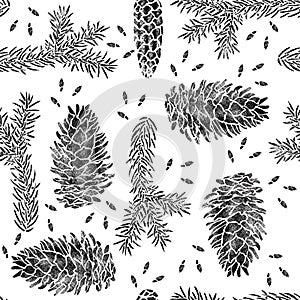 Spruce seamless pattern isolated on white. Picea branch, cone, seed.