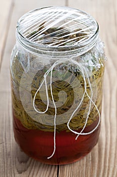 Spruce sprouts syrup - making of